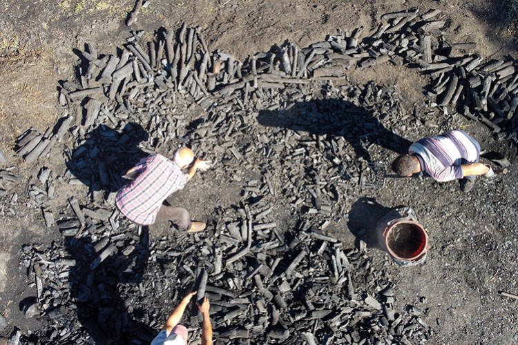 Meşe odunlarını mangal kömürüne dönüştürüyorlar