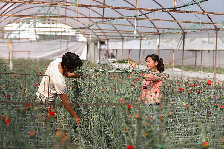 50 ülkenin kadınları için hazırlanıyor
