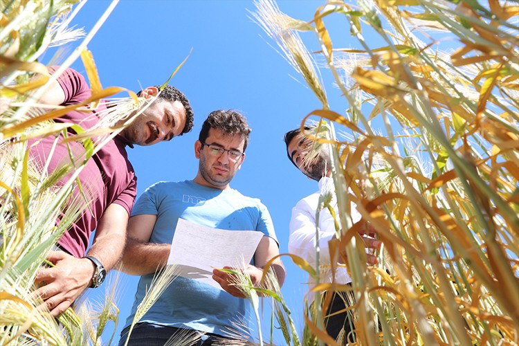 Uzmanlar kuraklığın boyutunu tespit ediyor