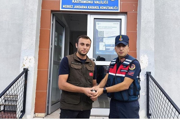 Tedavileri tamamlanan kuşlar doğaya salındı