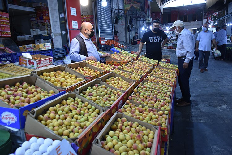 Yaş kayısının ihracat değeri arttı