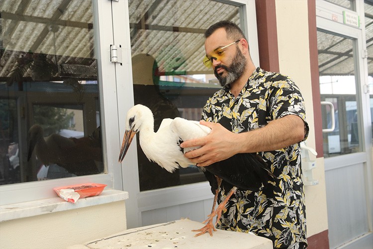 itkin halde bulunan leylek yavrusu tedaviye alındı