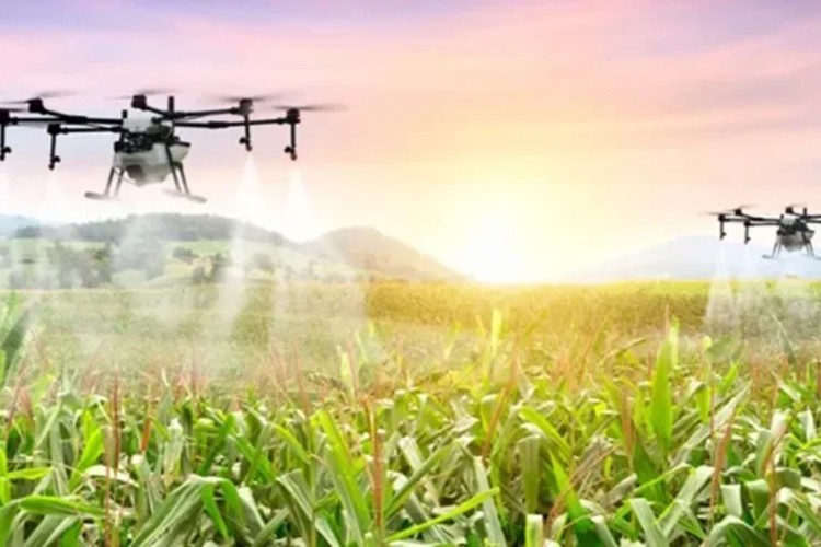 Dijital tarım üretimi yeniden şekillendiriyor