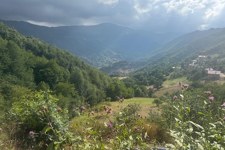 Kulakkaya Yaylası'nın turizm potansiyelinin artırılması hedefleniyor