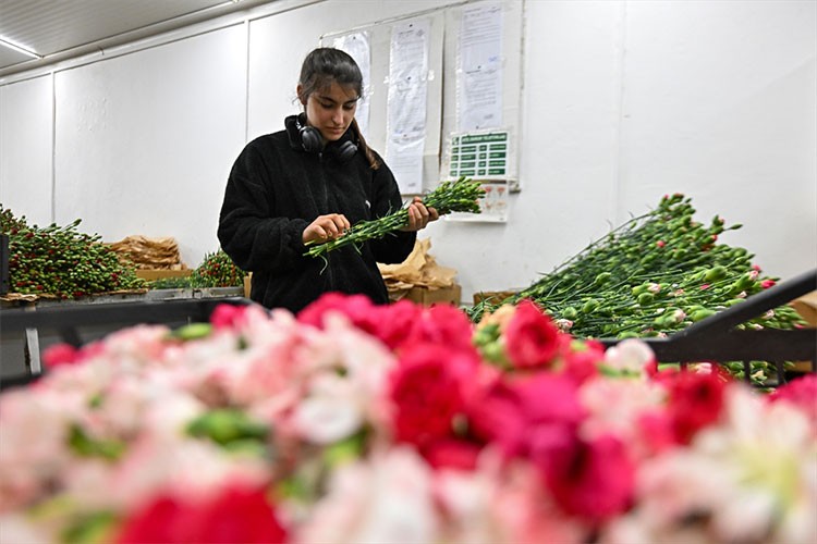 Çiçek sektöründen 56,2 milyon dolarlık ihracat