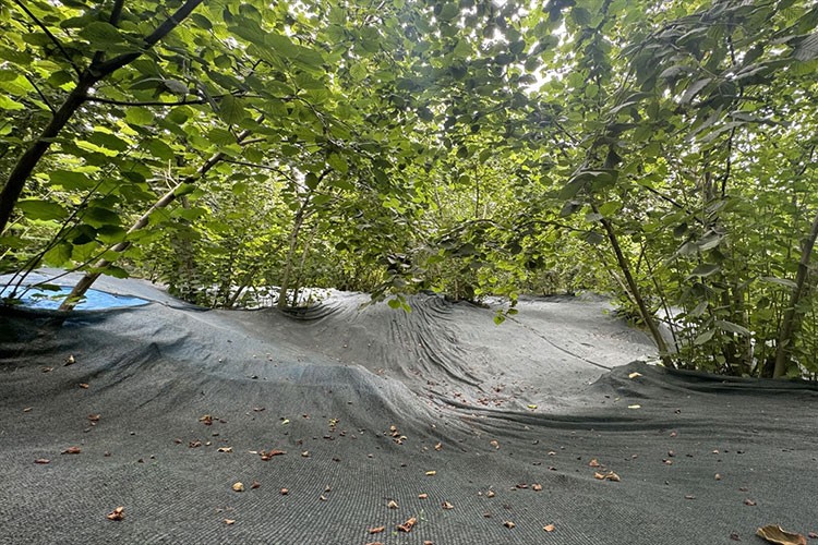 Tasarruf sağlamak için "file örtü" serildi