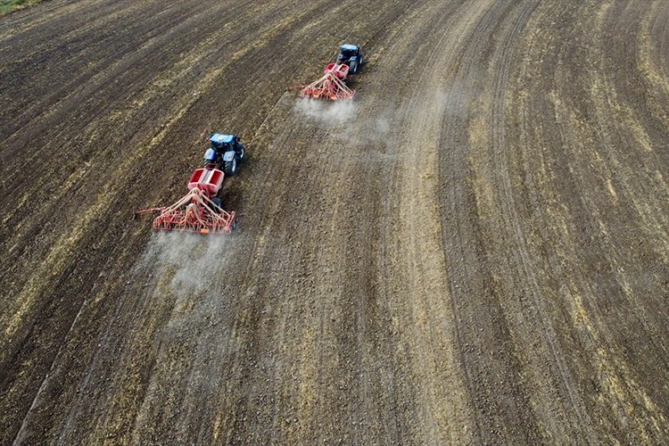 Yerli tohumlar toprakla buluştu