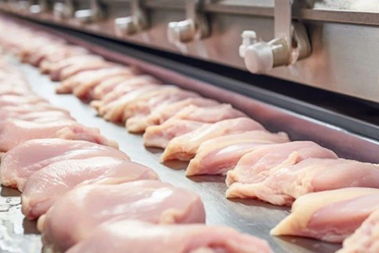 Tavuk ihracatı bugünden itibaren durdurulacak