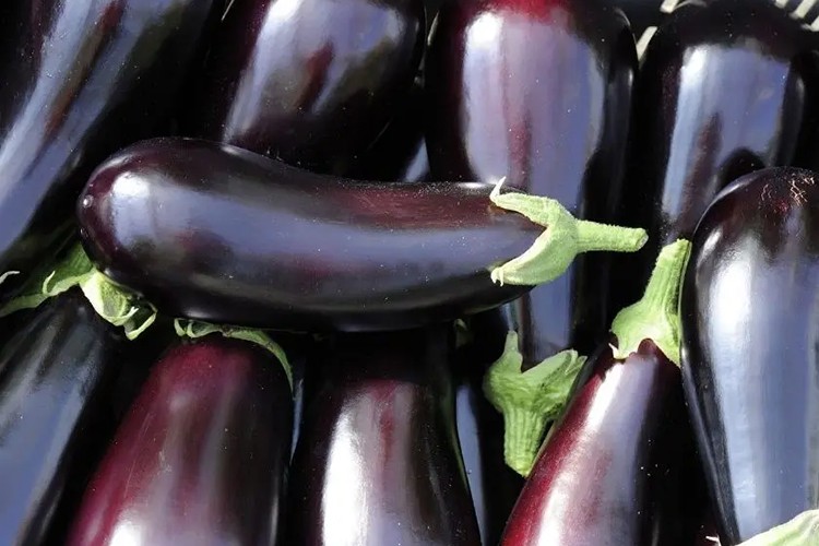 İstanbul'da en çok patlıcanın fiyatı arttı