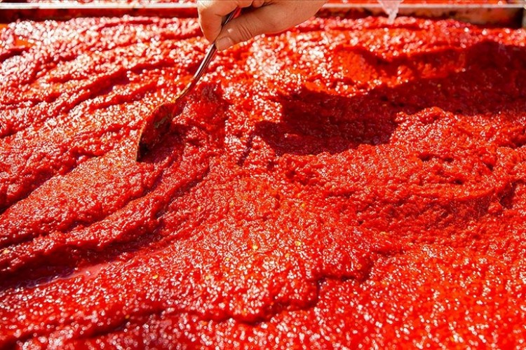 "Salça ihracatına kısıtlama üreticiye zarar verebilir"