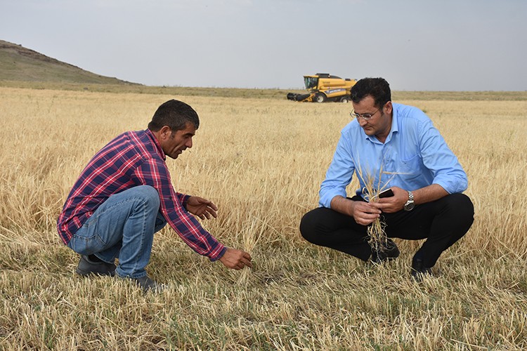 İHE'in organik unu Kars'tan