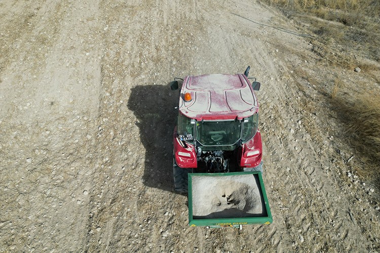 Üniversitenin tarım arazilerinde su tüketimini azaltmak amacıyla "ponza taşı" kullanılıyor