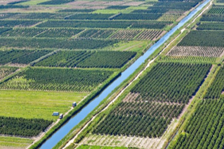 Çorum'da bazı yerlerde arazi toplulaştırması yapılacak