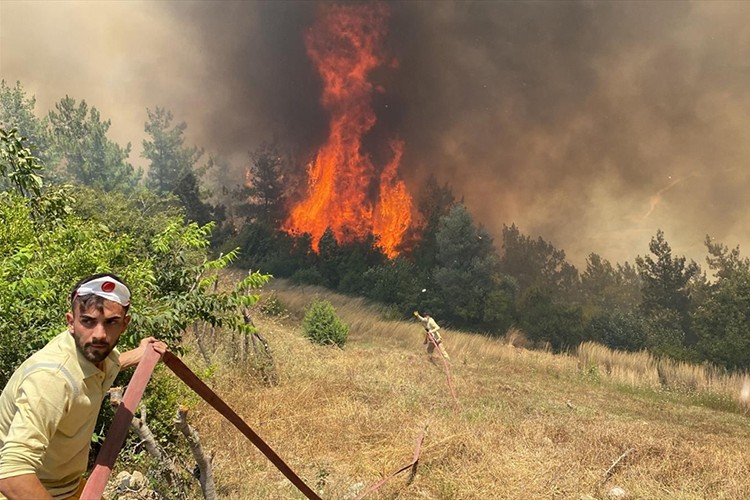 Osmaniye'de orman yangını çıktı