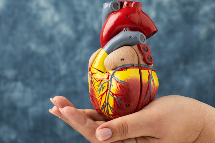 DAMAR SAĞLIĞINIZ İÇİN ENDÜSTRİYEL YAĞLARDAN UZAK DURUN