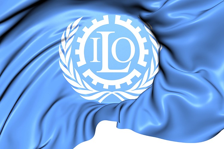 ILO Çalışma Yaşamı Gözlemi