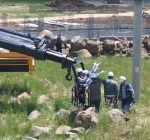 Göçmen kuşlar Dicle Elektrik ile güvende