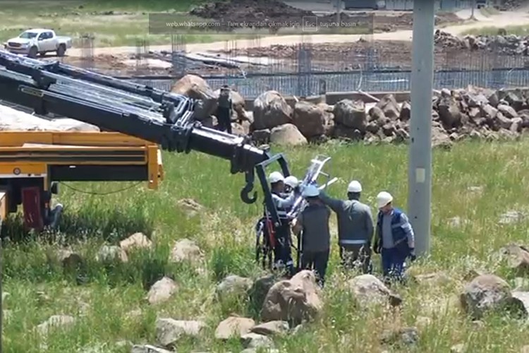 Göçmen kuşlar Dicle Elektrik ile güvende