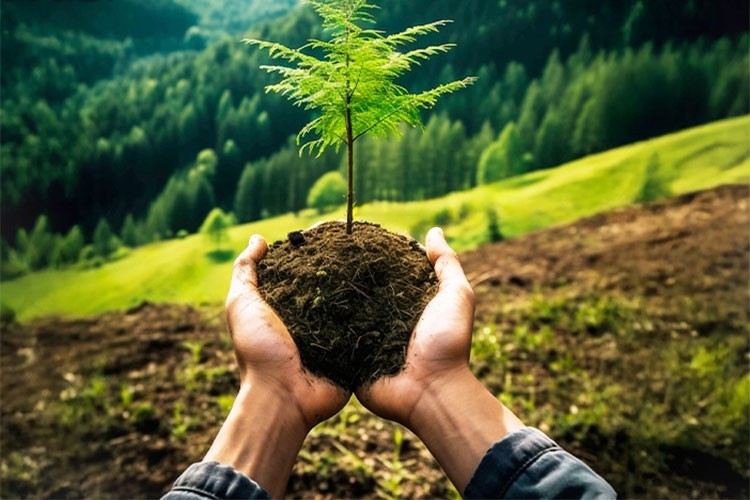 Atlas Copco'dan yanan ormanlara umut