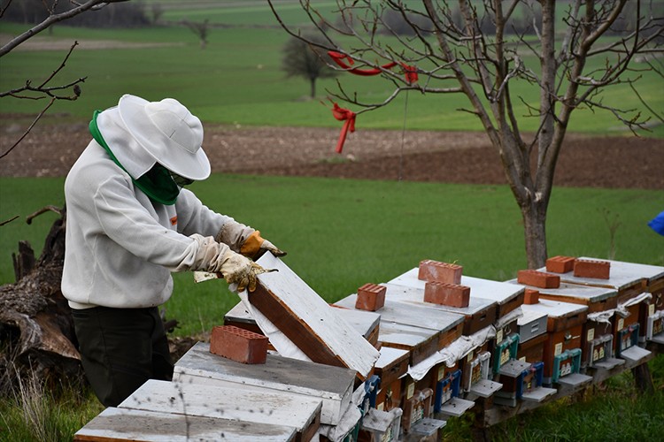 50 kovanla üretimi destekliyor