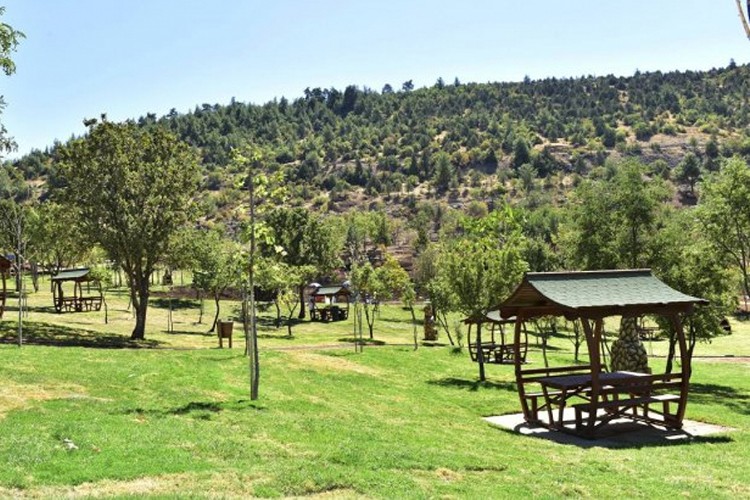 Orman parkı kiralanacak