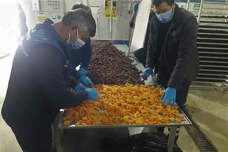 Muğla Büyükşehir'den Malatya kayısı üreticisine destek