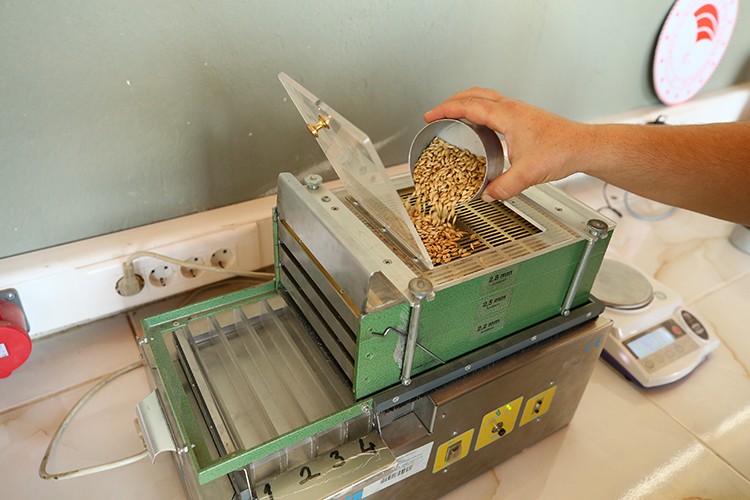 Özel yerli yulaf geliyor