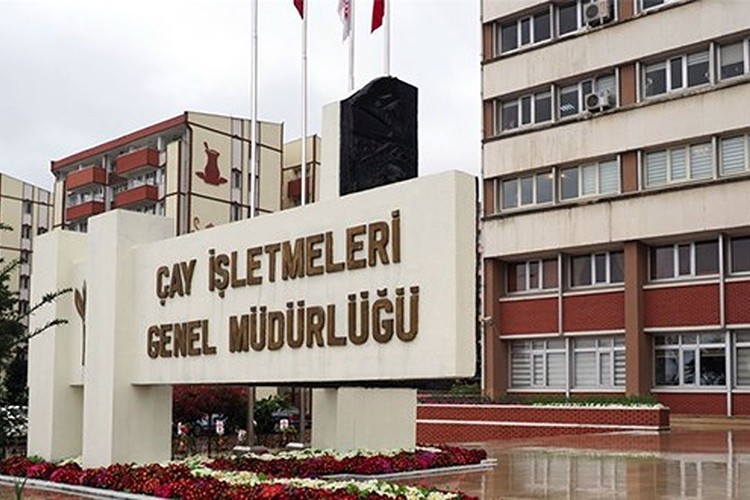 ÇAYKUR 3 günde 730 ton yaş çay aldı