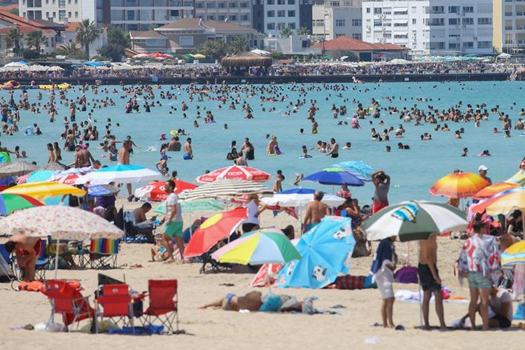 31 ülkeye yeşil ışık