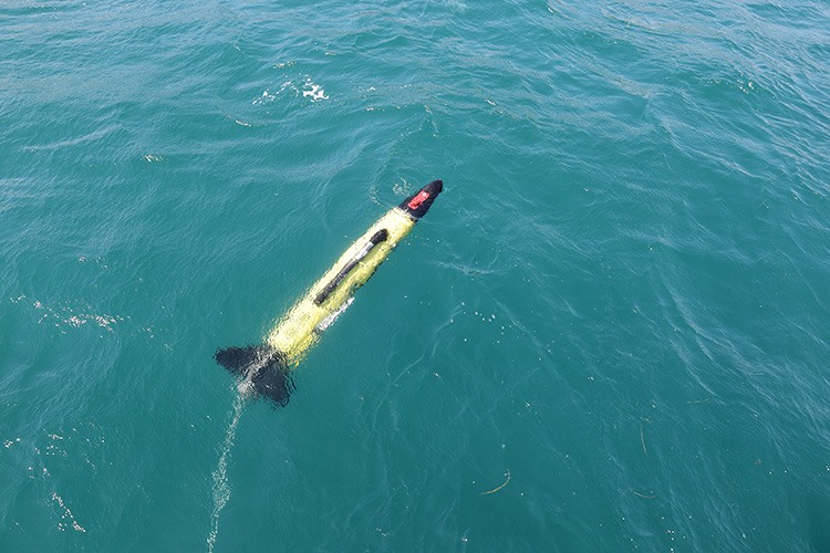 Akdeniz ve Marmara için acil önlem zamanı