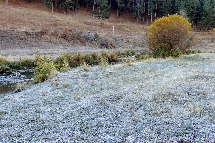 Sarıkamış'ta araç camları ve bitkiler kırağı tuttu