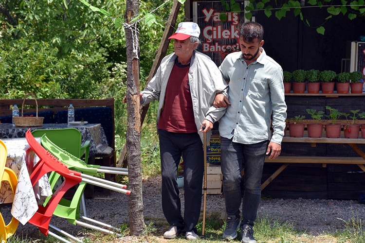 Babası felç olunca yıllarca atıl kalan araziyi çilekle buluşturdu