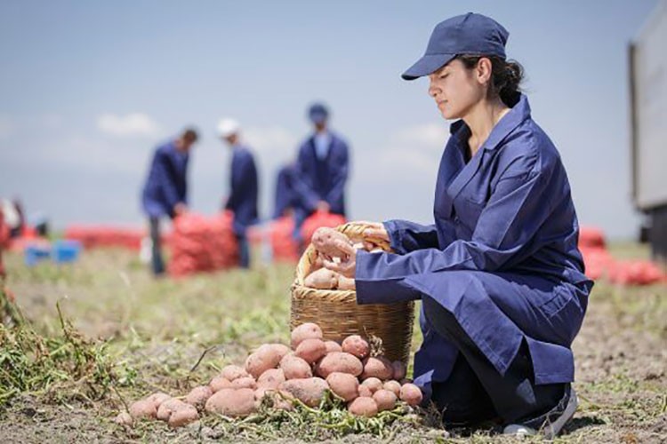 Yenileyici tarımda büyük başarı
