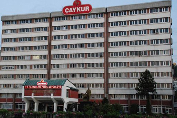 ÇAYKUR, yaş çay alımını sonlandırdı