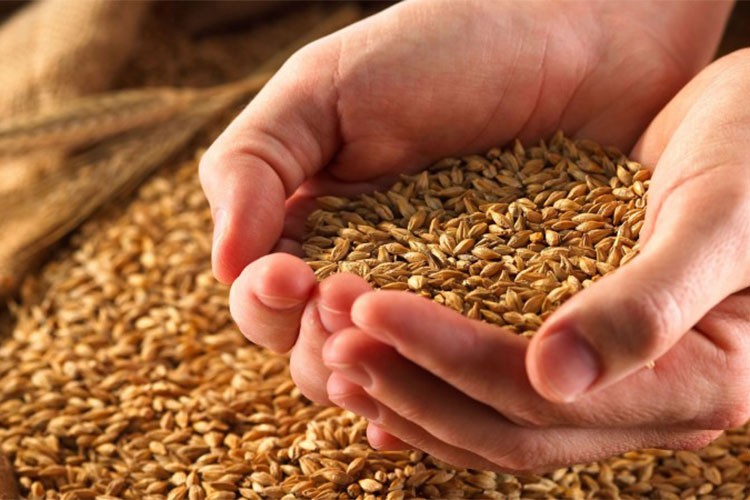 Rusya, Batılı ülkelere yönelik gıda yaptırımını uzattı