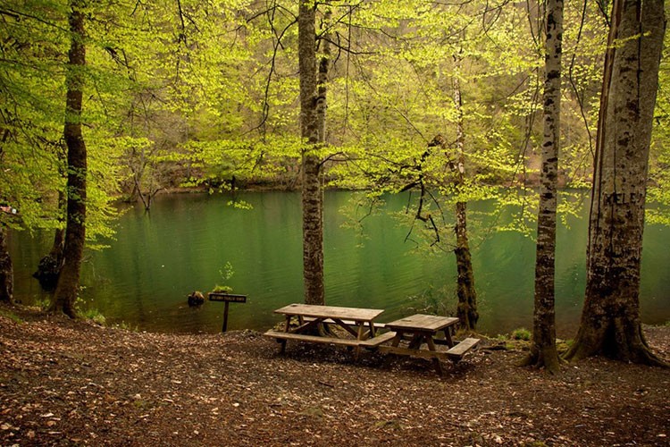 Milli parkları 8 ayda 46 milyon kişi ziyaret etti