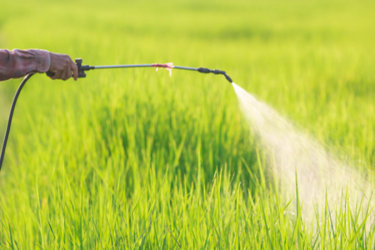 Buğday Derneği | Türkiye pestisit kaynaklı bildirimlerde yine ilk sırada