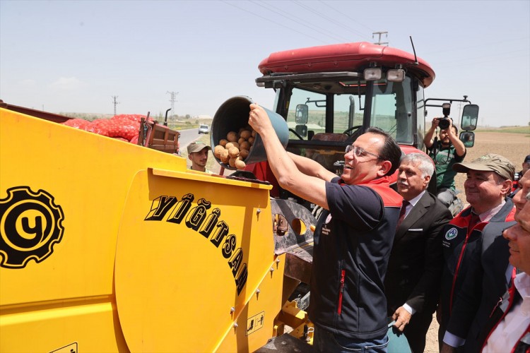 Nevşehir'de dayanıklı patates tohumu ekimi yapıldı