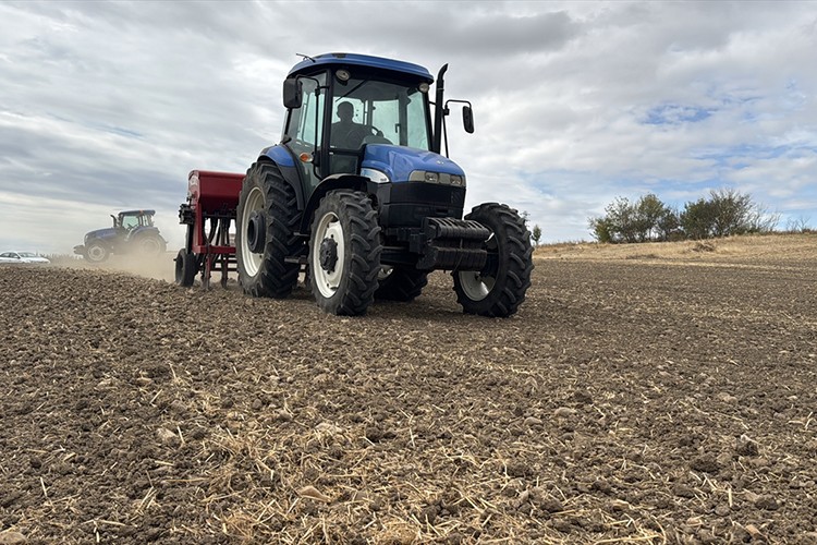 Ayçiçeğinden verim alamayan üretici kanolaya yöneldi