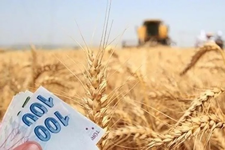 Tarımsal destekleme ödemeleri bugün çiftçilerin hesaplarına aktarılacak