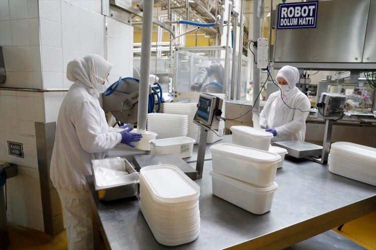 MARAŞ DONDURMASI'NDA 120 BİN TON ÜRETİM