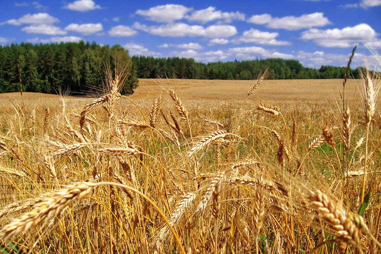 Ekim nöbeti sistemi...