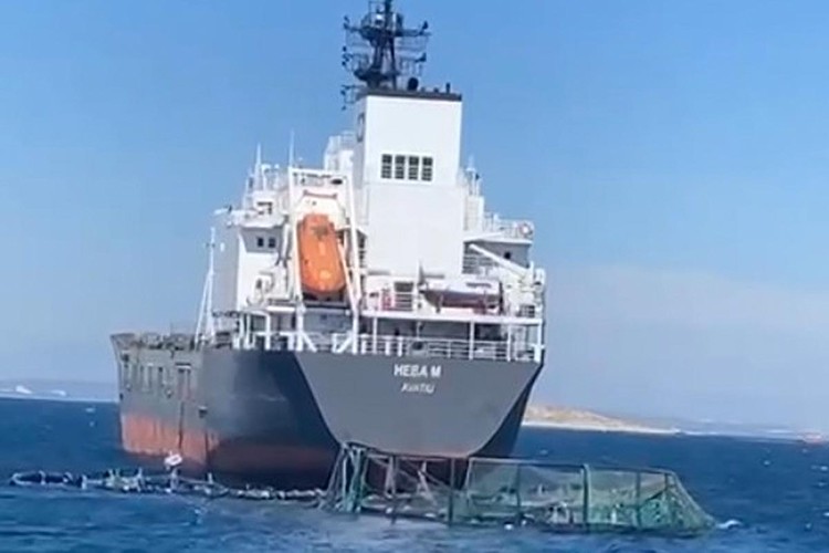 Denizden tehlikeli yük taşımacılığına yeni kurallar