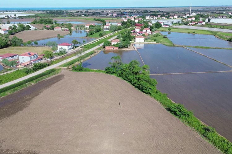 Çeltik üreticilerine "suyu bilinçli kullanın" uyarısı