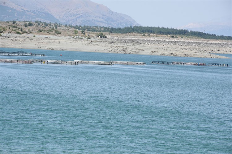 Malatya'da alabalık tesisi sayısı artıyor