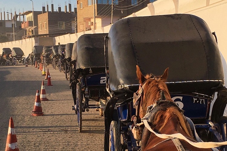 Tarihin Ötesinde Edfu