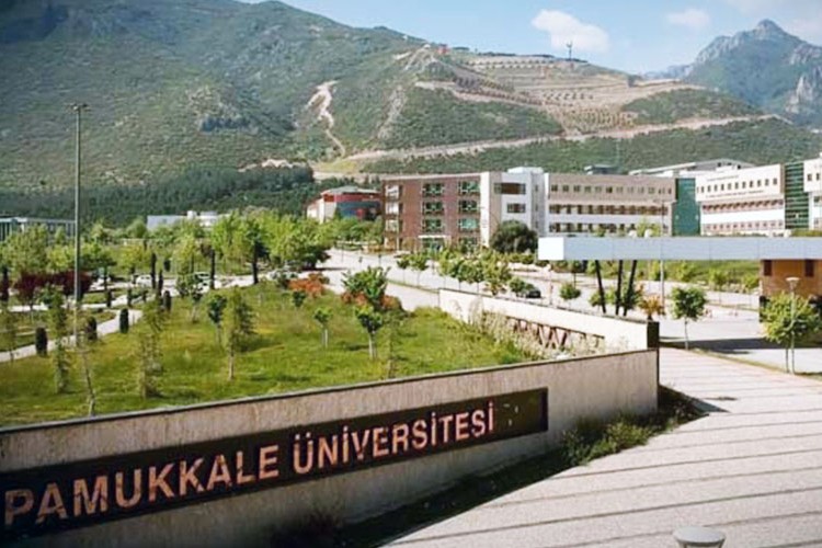 Akademisyen alınacak