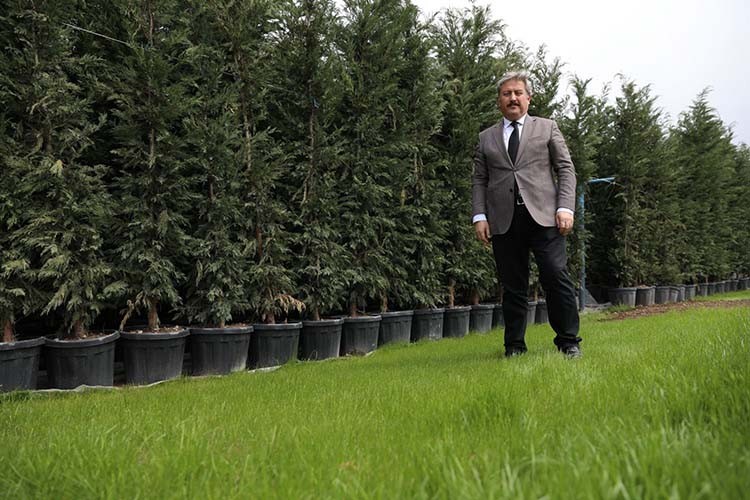 yıl da 70 Bin Ağaç Toprakla Buluştu