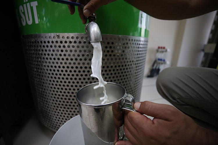 Süt üreticileri, üretici ile market fiyatları arasındaki farktan şikayetçi