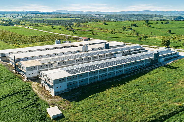 Banvit BRF, arıttığı suyun yüzde 51'ini içme suyu kalitesinde geri kazandı